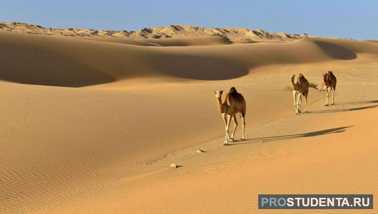 Климатические условия природной зоны пустынь и полупустынь