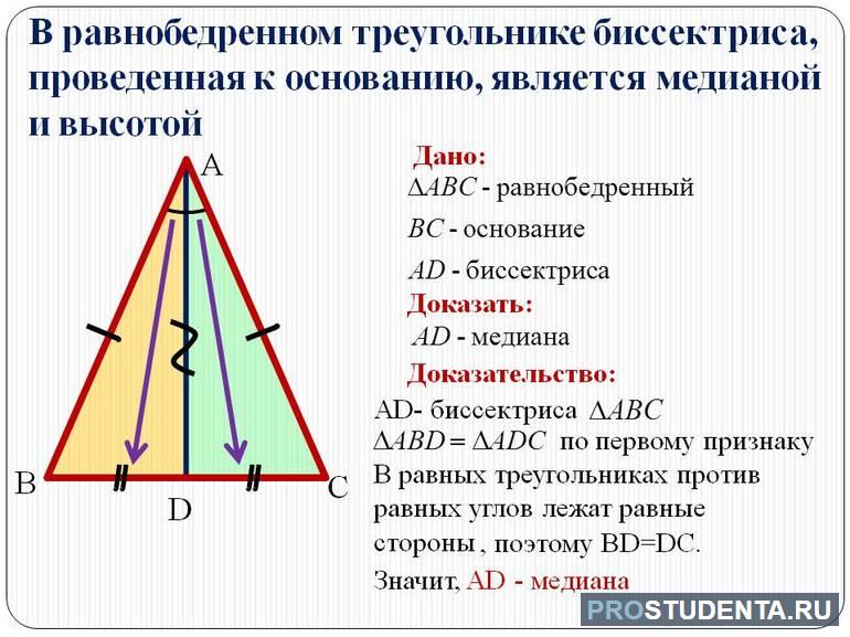 Биссектриса в равнобедренном треугольнике