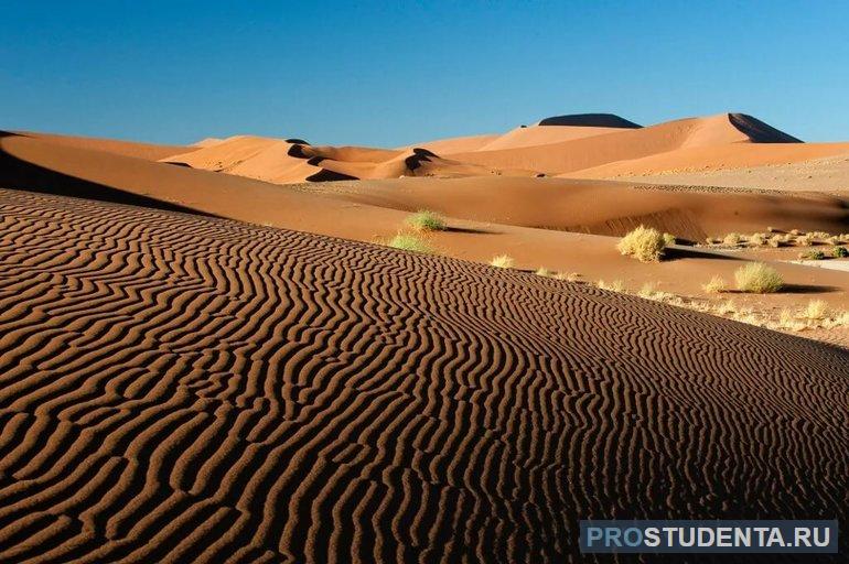 Природные зоны евразии пустыни и субтропики