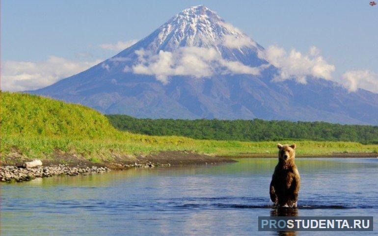 Заповедники России