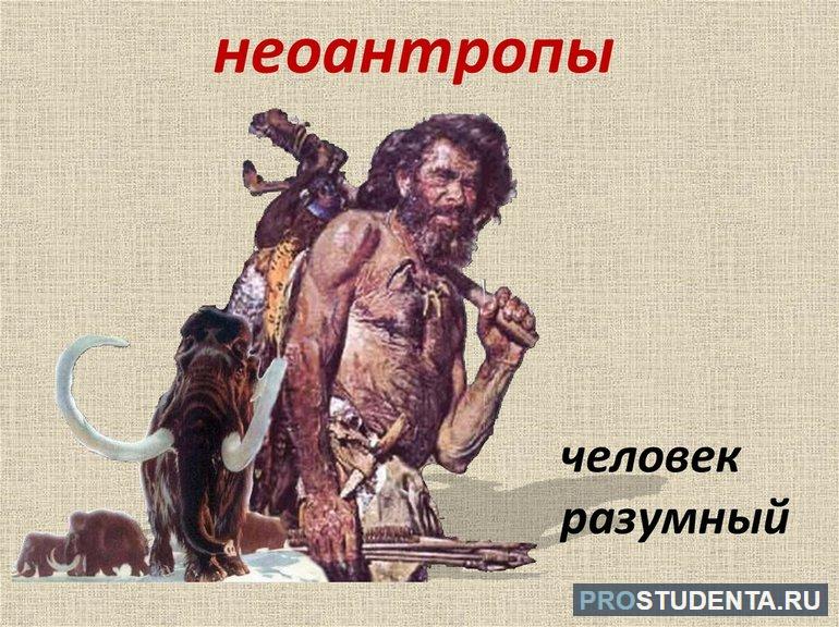 Появление неоантропов