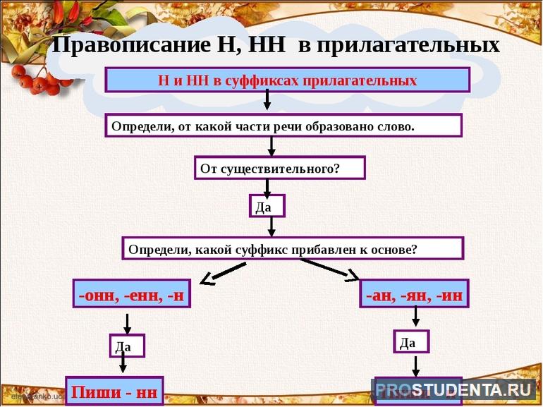  н нн в прилагательных