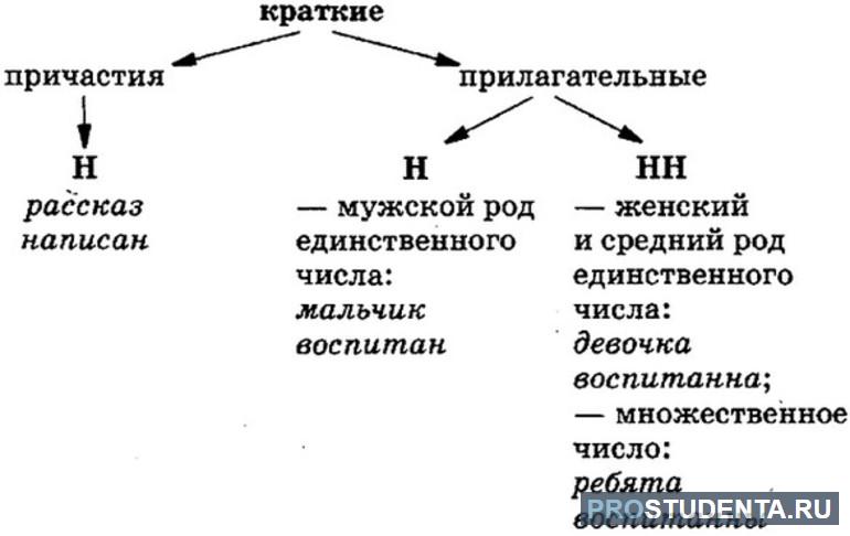  н и нн в кратких причастиях 