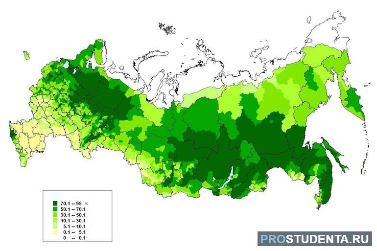 Лесное хозяйство россии