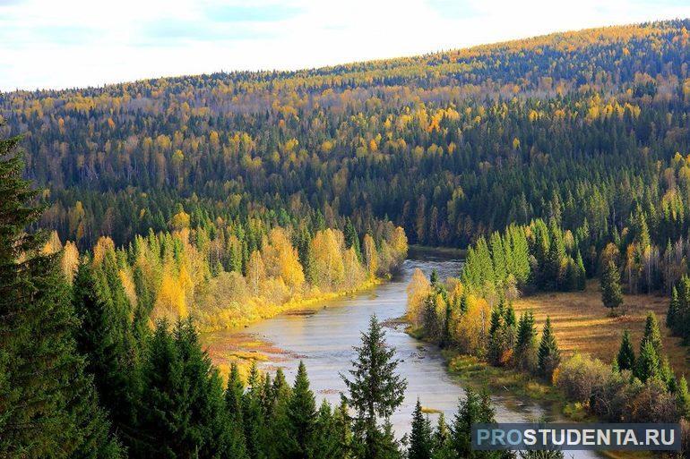 Лесной ресурс мира, природные богатства планеты