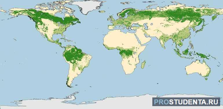 Размещение лесных ресурсов