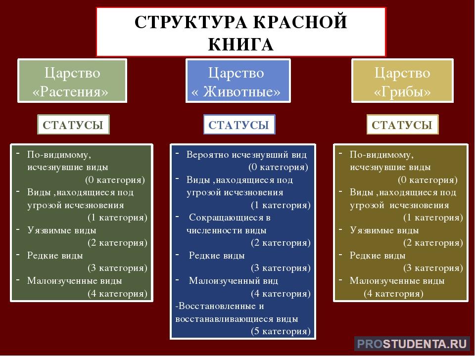 Редкость в россии. Структура красной книги. Категории красной книги. Мтруктура скрасной книги Росс. Структура красной книги России.