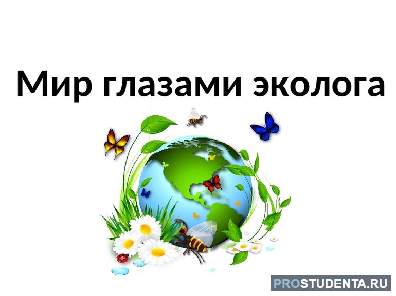 Взгляд на проблемы окружающего мира глазами эколога