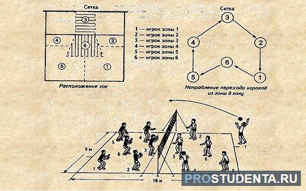 Игра 5 1 в волейболе. Расстановка игры 4-2 волейбол. Расстановка в волейболе и амплуа игроков. 4 2 Волейбол расстановка связка. Расстановка в волейболе 4-2 схема.