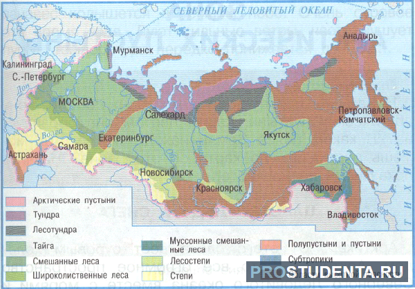 Лесостепная зона на карте. Лесостепная зона России географическое положение. Лесостепь на карте России. Географическое положение лесостепи в России. Зона лесостепей и степей на карте.