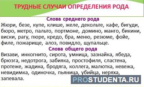 Род слова киви