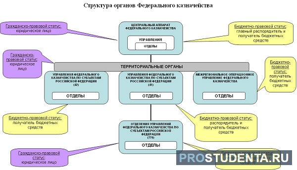 Подать казначейство