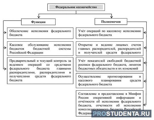 Федеральное казначейство цели